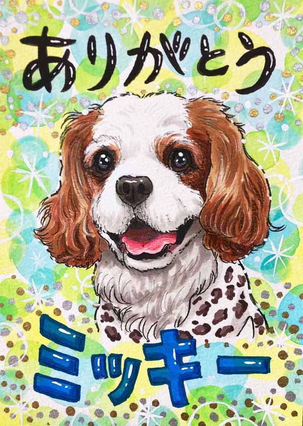 �~�j�`���A�_�b�N�X����G